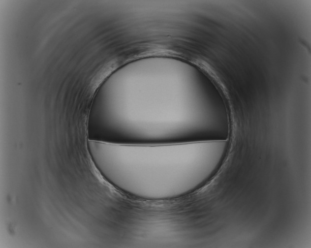 X0000102041049200807181025