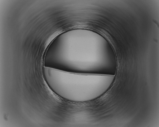 X0000102041050200807181025