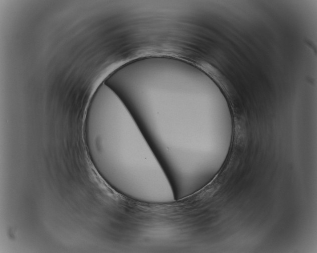 X0000102041052200807181025