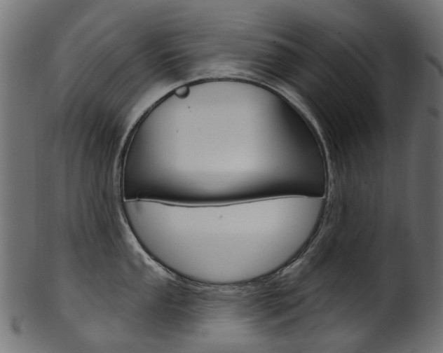 X0000102041053200807181025