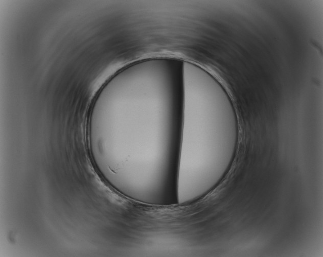 X0000102041054200807181025