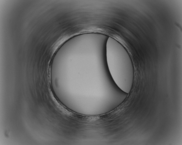 X0000102041055200807181025