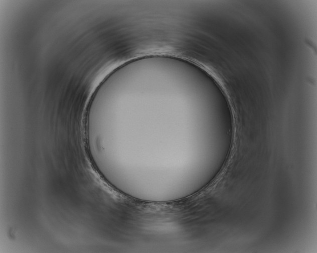 X0000102041056200807181025