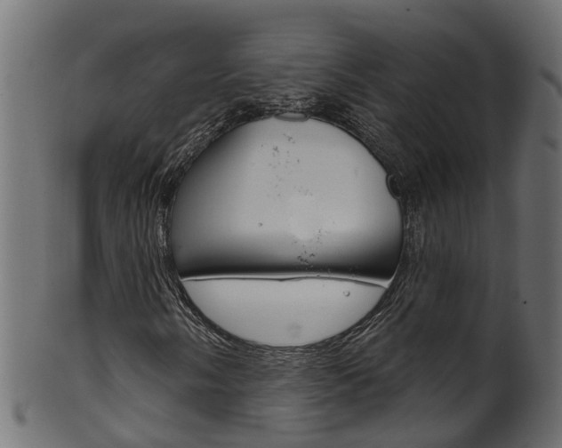 X0000102041058200807181025