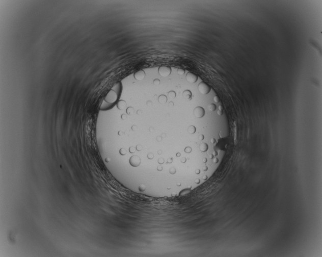 X0000102041059200807181025