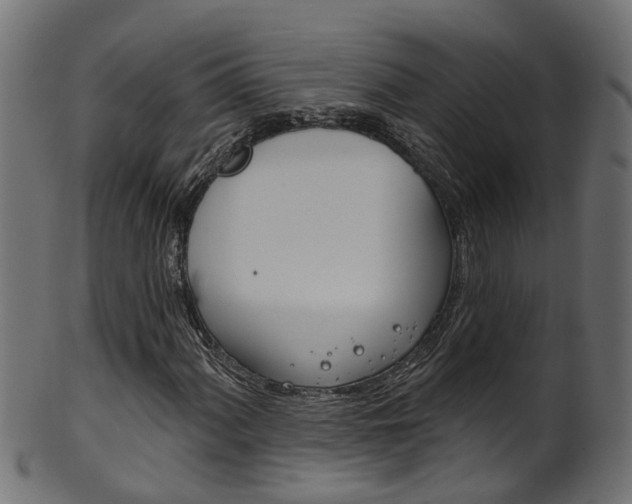 X0000102041060200807181024