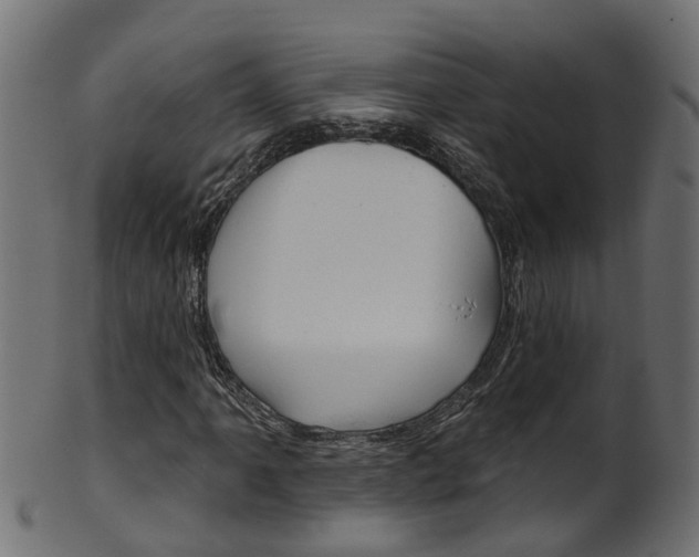 X0000102041061200807181024