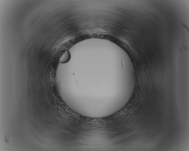 X0000102041063200807181024