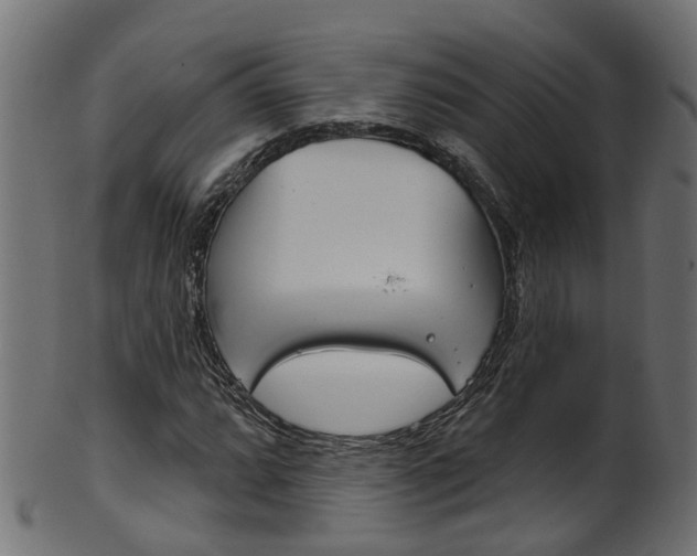 X0000102041064200807181024
