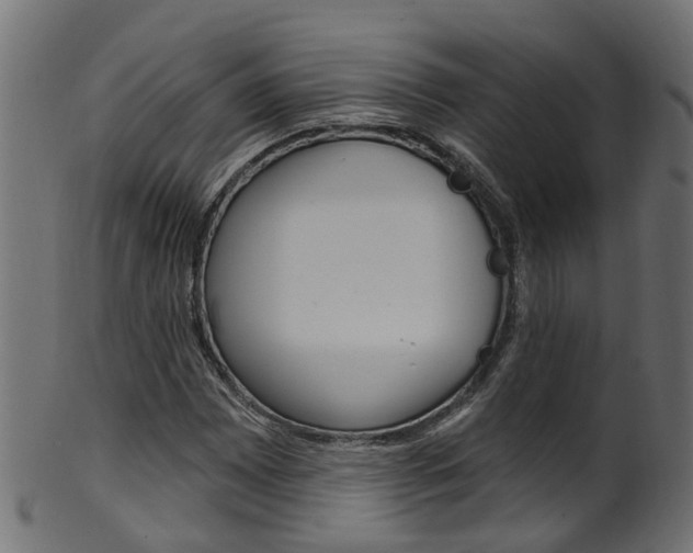 X0000102041065200807181024