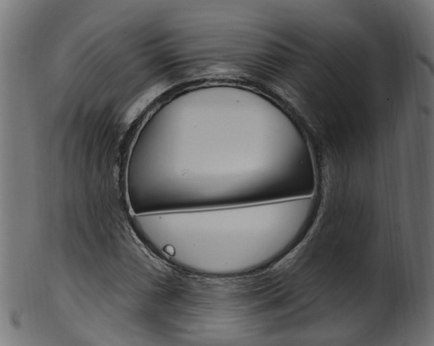 X0000102041066200807181024