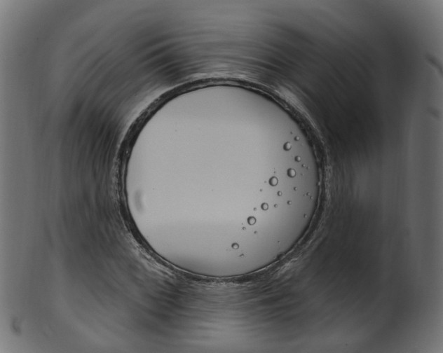 X0000102041068200807181024