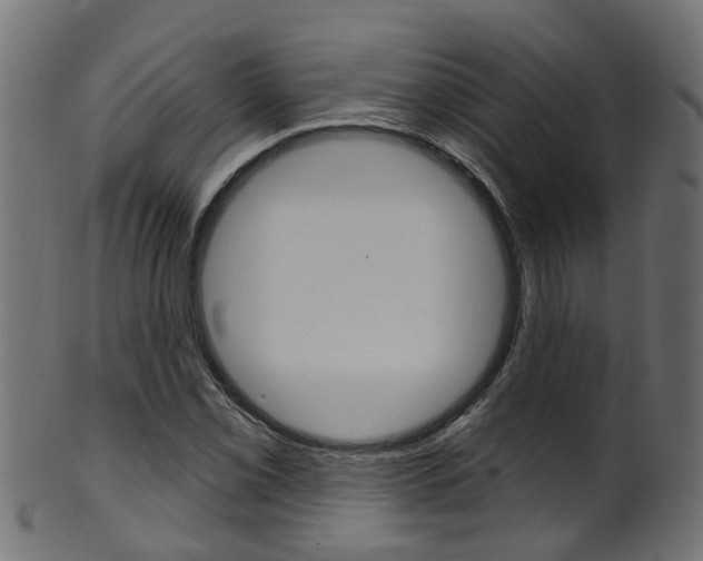 X0000102041069200807181024