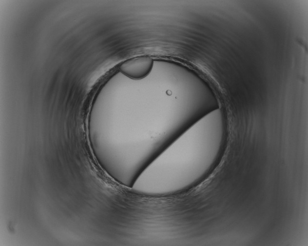 X0000102041070200807181024