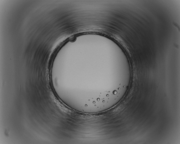 X0000102041072200807181024