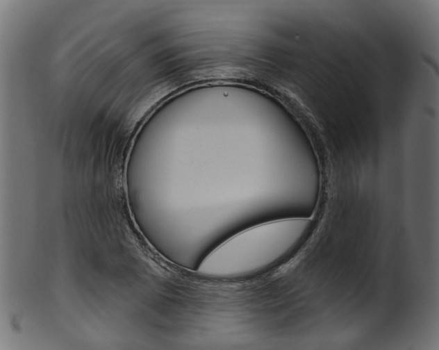 X0000102041073200807181024
