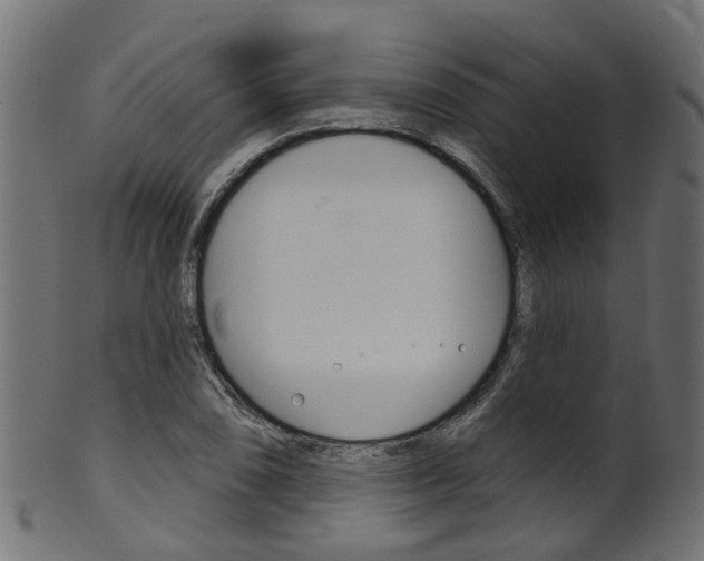 X0000102041074200807181024