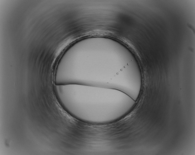 X0000102041075200807181024