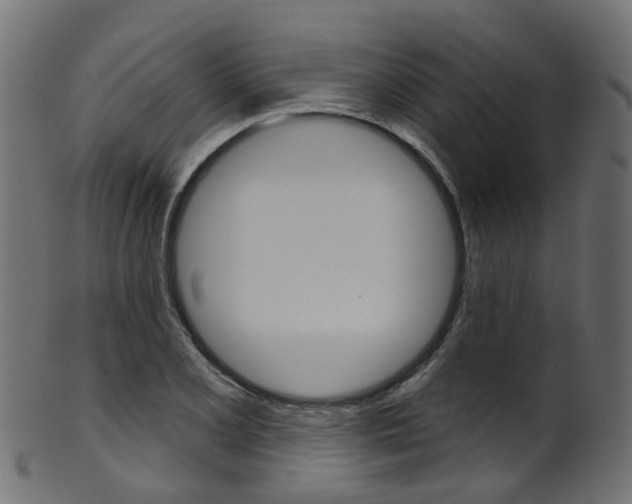 X0000102041077200807181024