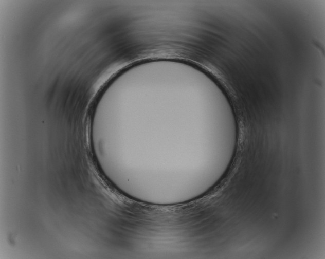 X0000102041078200807181024