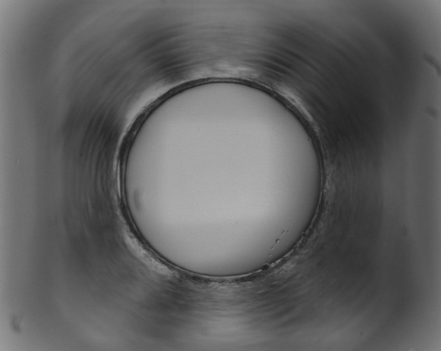 X0000102041080200807181024