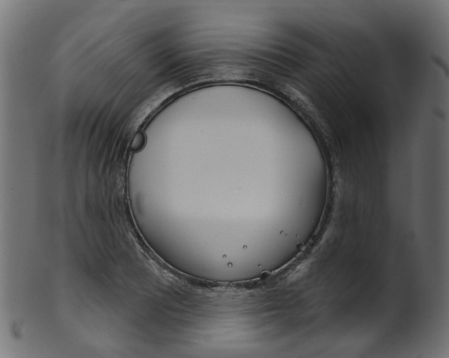 X0000102041081200807181024