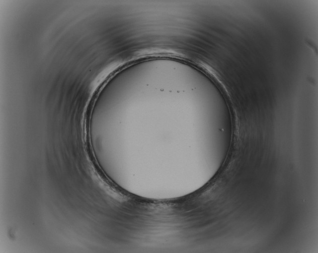 X0000102041082200807181024