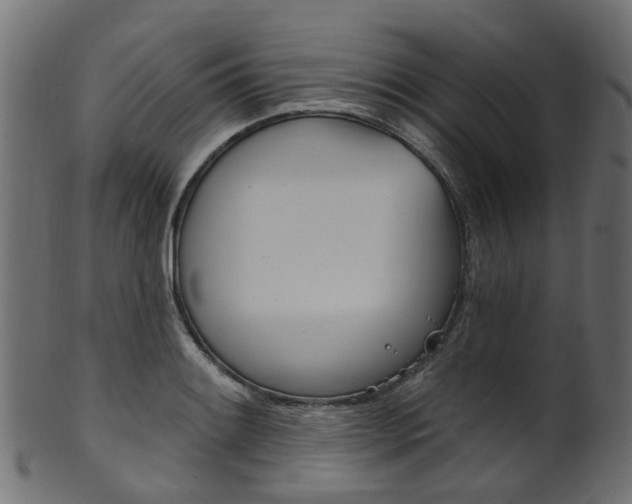 X0000102041084200807181024