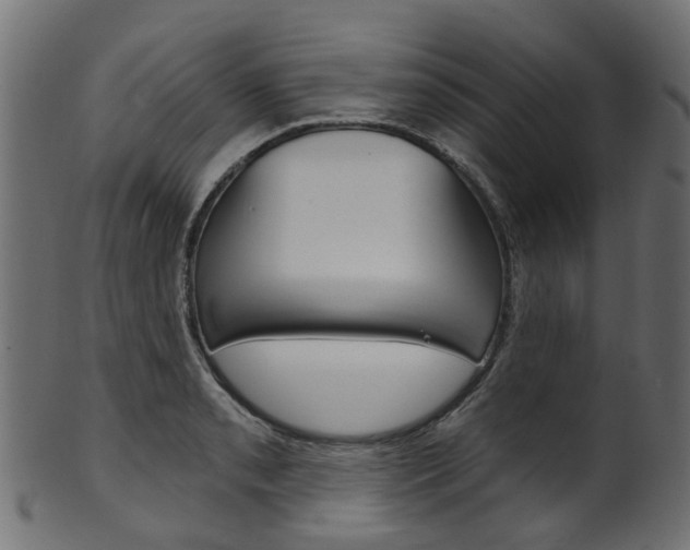 X0000102041085200807181024