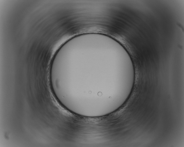 X0000102041086200807181024