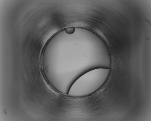 X0000102041087200807181024