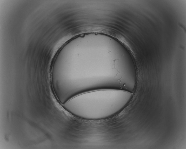 X0000102041088200807181024