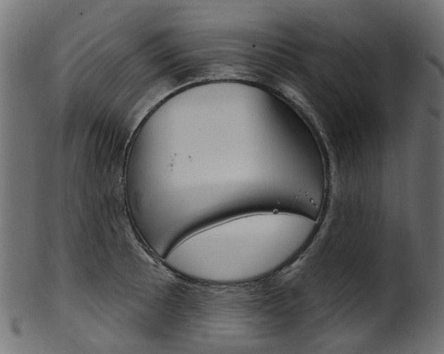 X0000102041089200807181024