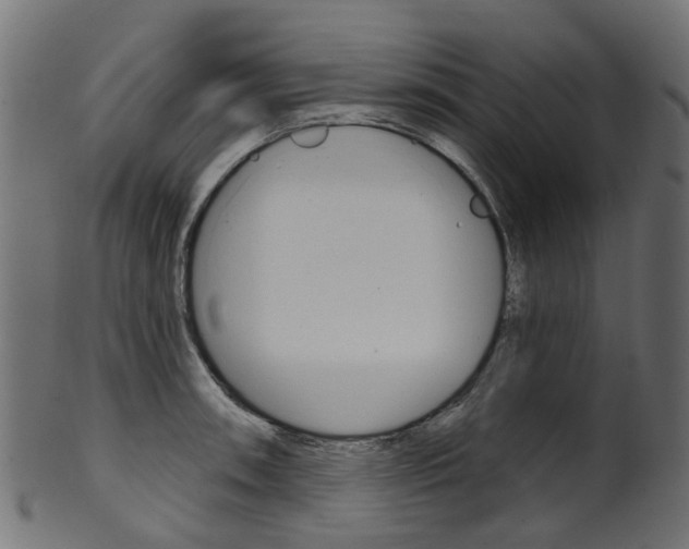X0000102041090200807181024