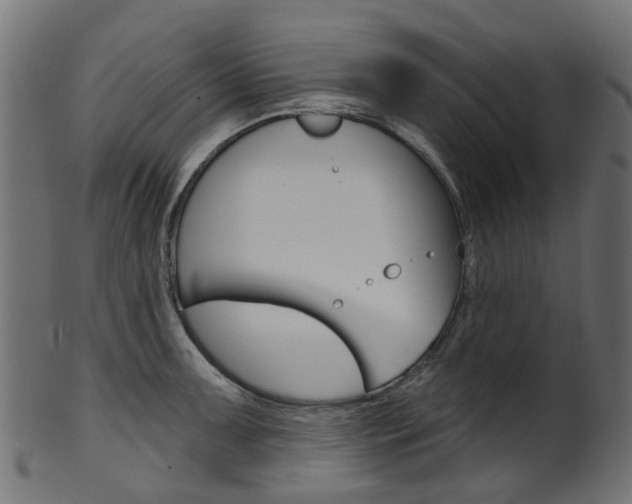 X0000102041091200807181024