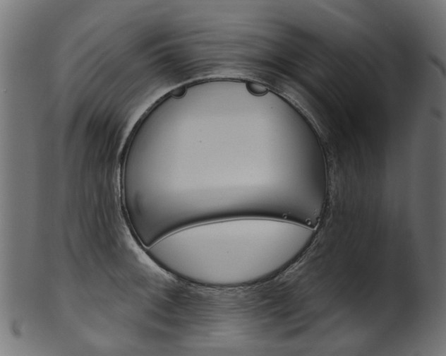 X0000102041092200807181024