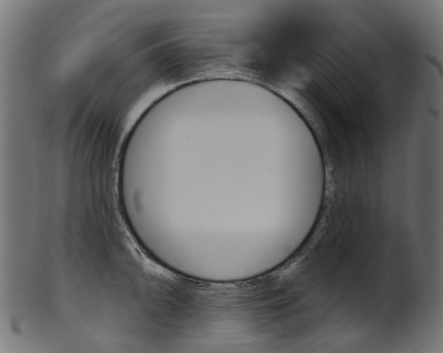 X0000102041094200807181024