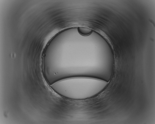 X0000102041096200807181024