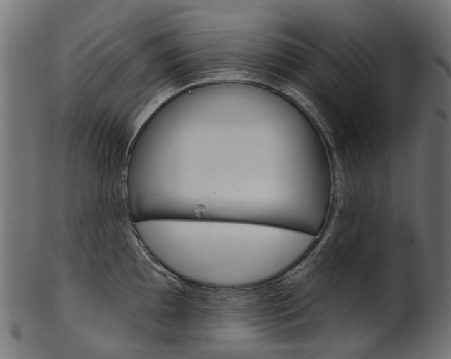 X0000102041097200807181024