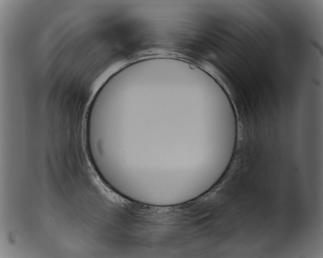 X0000102041098200807181024
