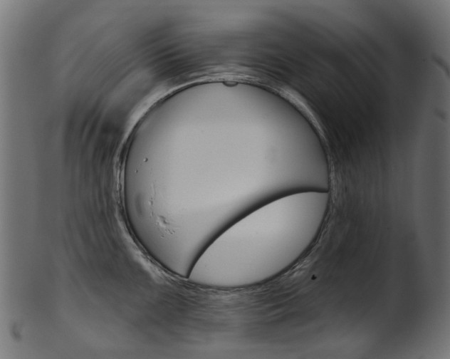 X0000102041099200807181024