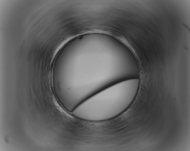 X0000102041100200807181024