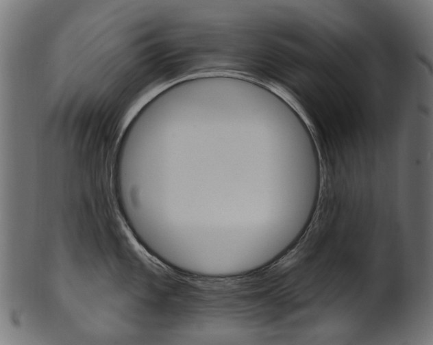 X0000102041101200807181024