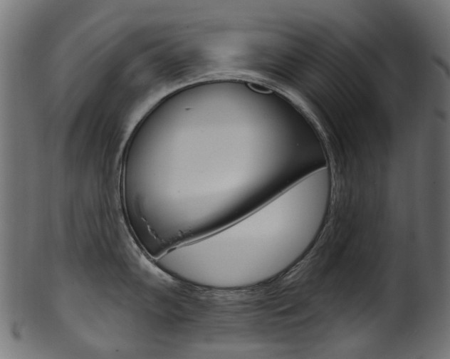 X0000102041102200807181024