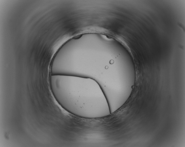 X0000102041103200807181024