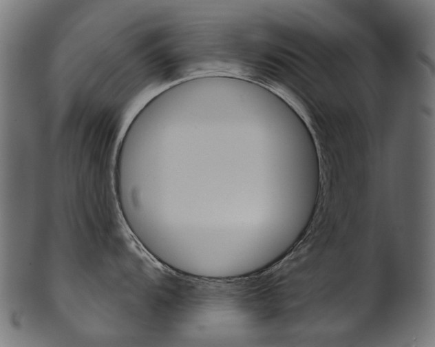 X0000102041104200807181024