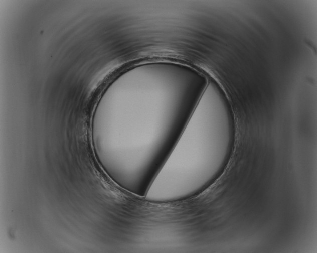 X0000102041115200807181023