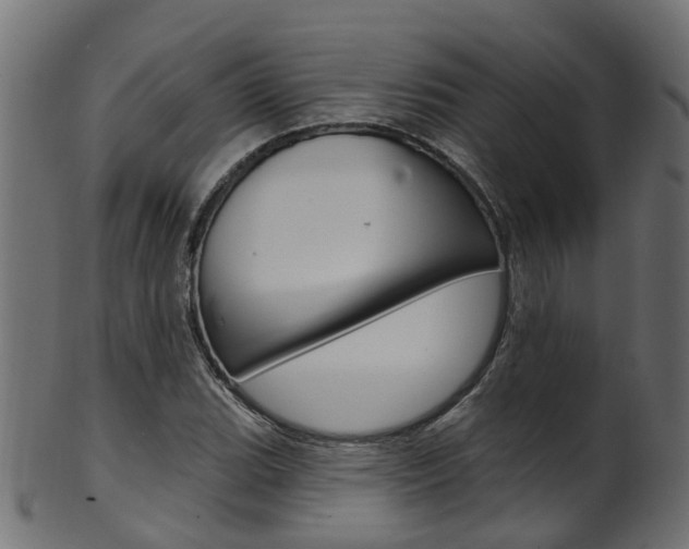X0000102041119200807181023