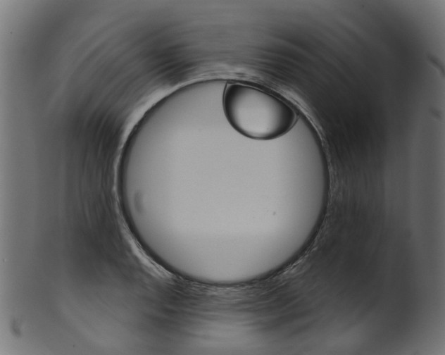 X0000102041128200807181023