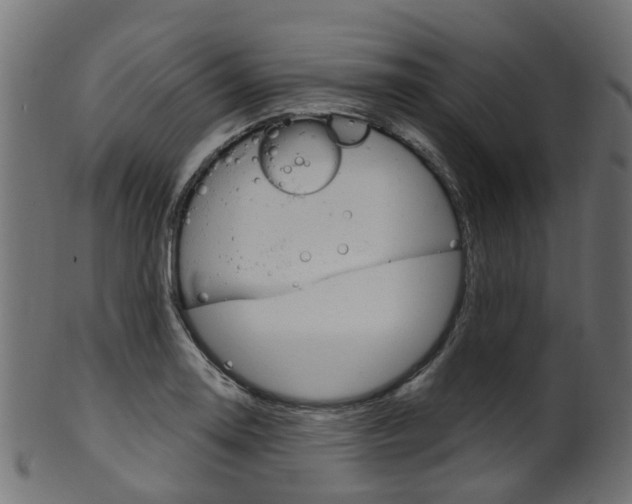 X0000102041130200807181023